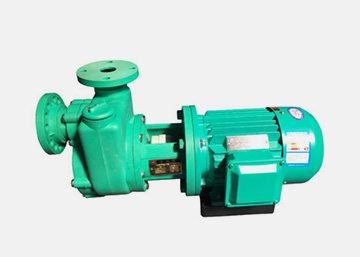 廈門水泵-FZS塑料自吸泵